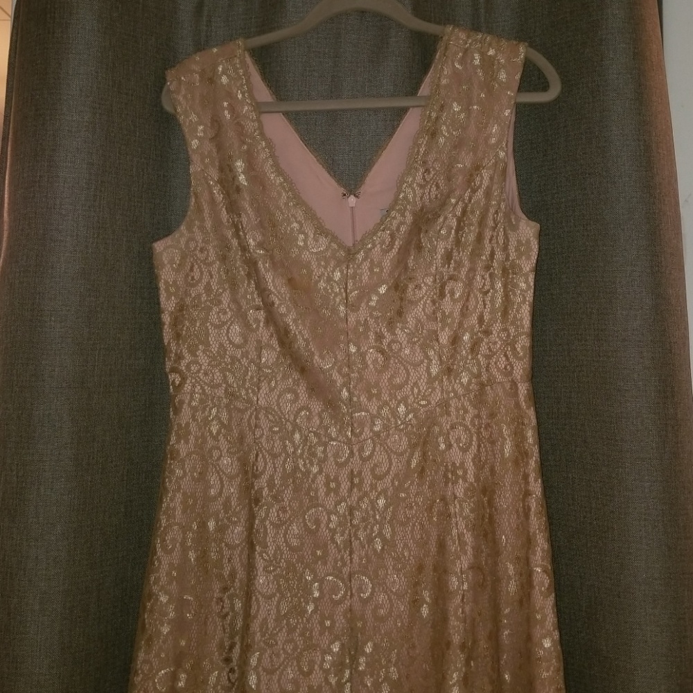 Blush lace dress